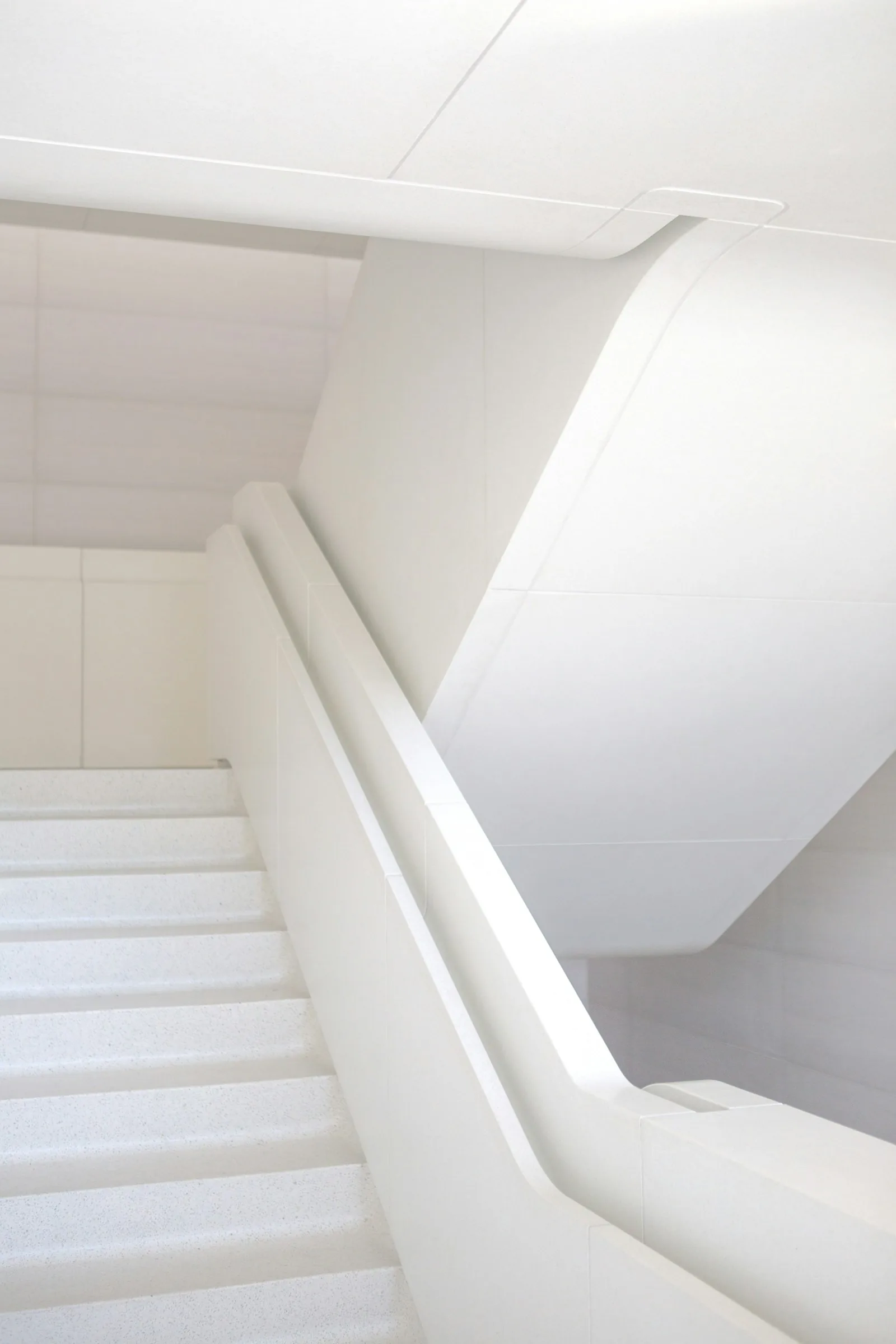 Interior tiling and finishes — Abrams Renovation, East London